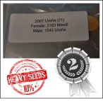 2007 Urena 2021 (910,3kg) 2007 Urena 2021 (910,3kg)