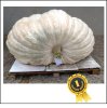 2033.8 Vanheuckelom 2021 (922,5kg) 2033.8 Vanheuckelom 2021 (922,5kg)
