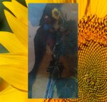 13.8 Weishaupl 2018 (420,5cm) 1 Kern 13.8 Weishaupl 2018 (420,5cm) 1 Kern