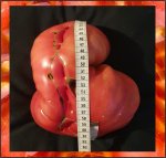 5.07 Karkos 2021 (2,3kg) 1 Kerne 5.07 Karkos 2021 (2,3kg) 1 Kerne